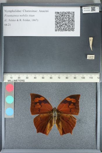 Media type: image;   Entomology 164395